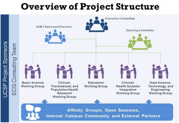 Overview of Project Structure